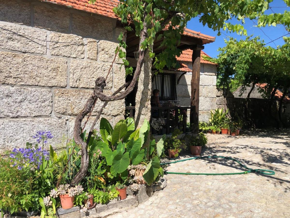 Casa Campo Villa Amarante Exterior foto